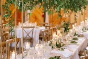 Aspen and Edward | Curated Favorites