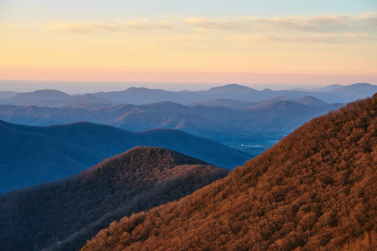 craggy gardens