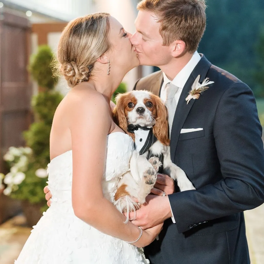 dog friendly weddings